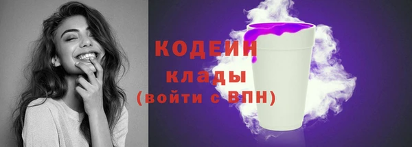 прущие грибы Аркадак