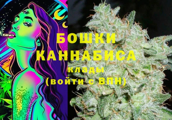 прущие грибы Аркадак
