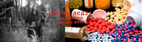прущие грибы Аркадак