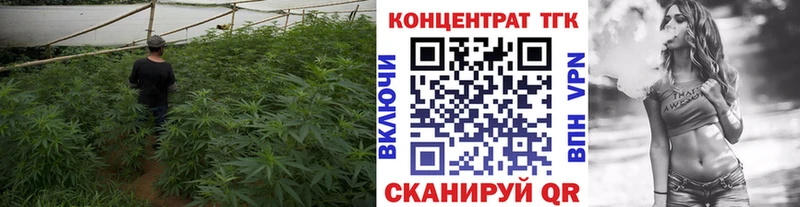 кракен ONION  как найти наркотики  Мензелинск  маркетплейс наркотические препараты  ТГК вейп 